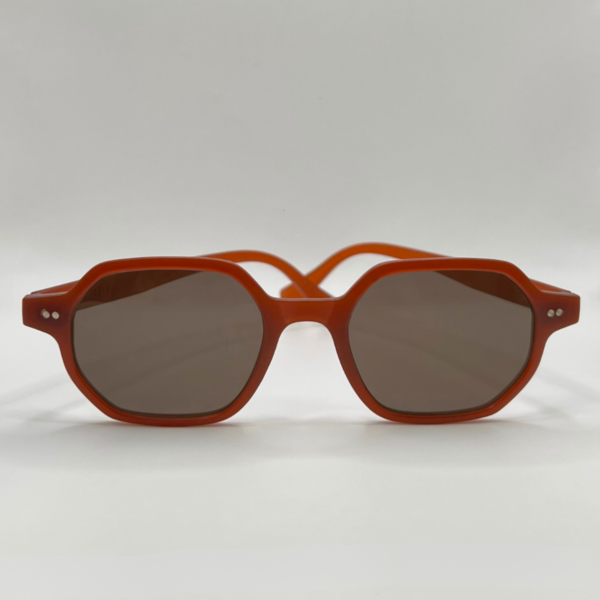 ALBES-SIENNE-FACE-BRUN