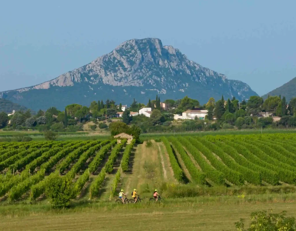 Pic-ST-LOUP-eio