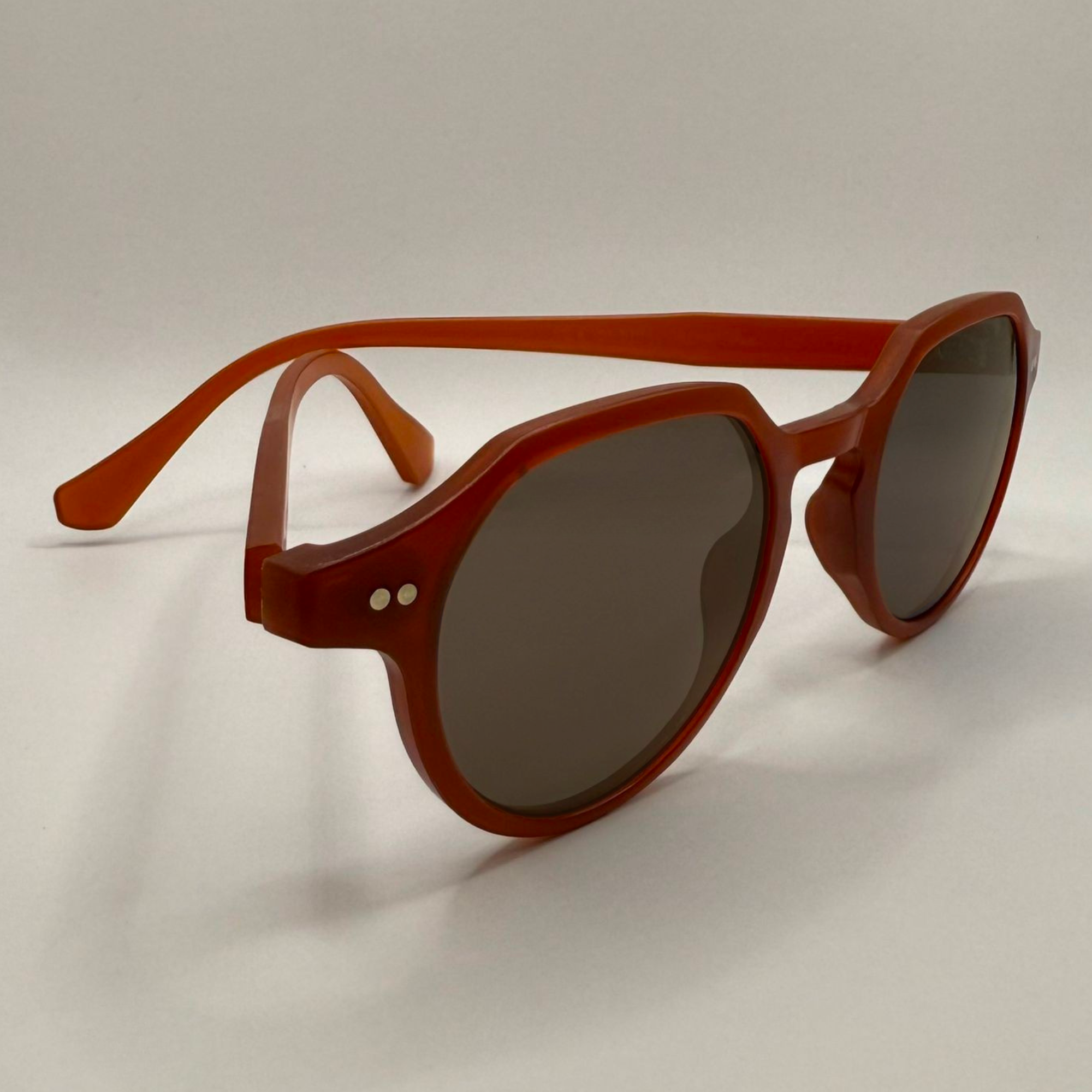 sienne eio coté 2 BRUN