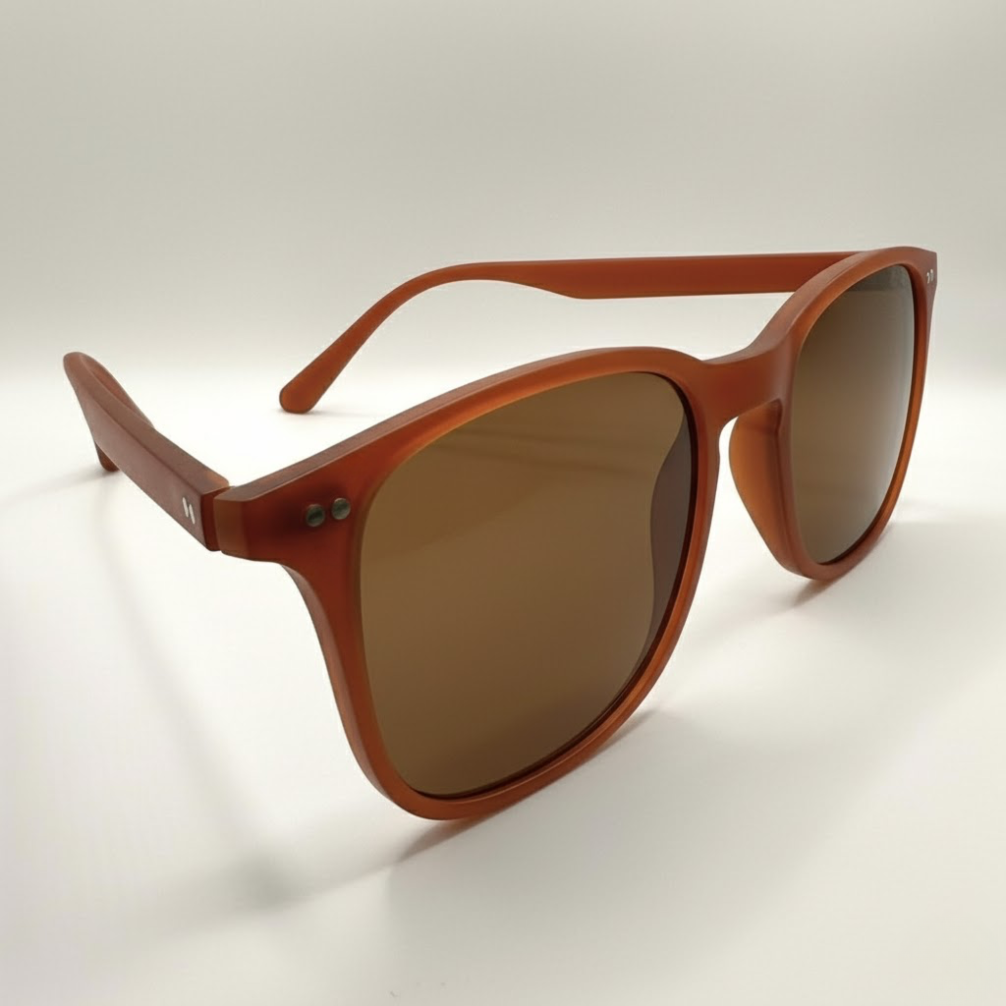 sienne-eio-coté-2-brun