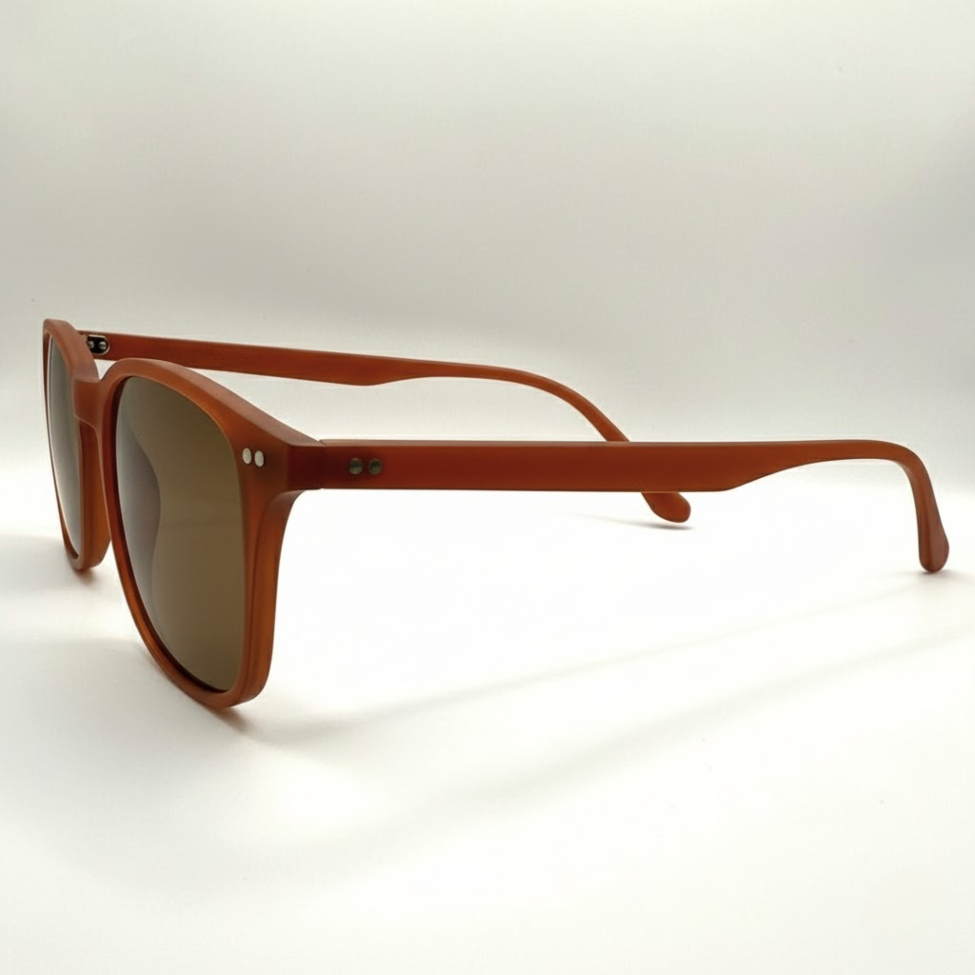 sienne-eio-coté-brun