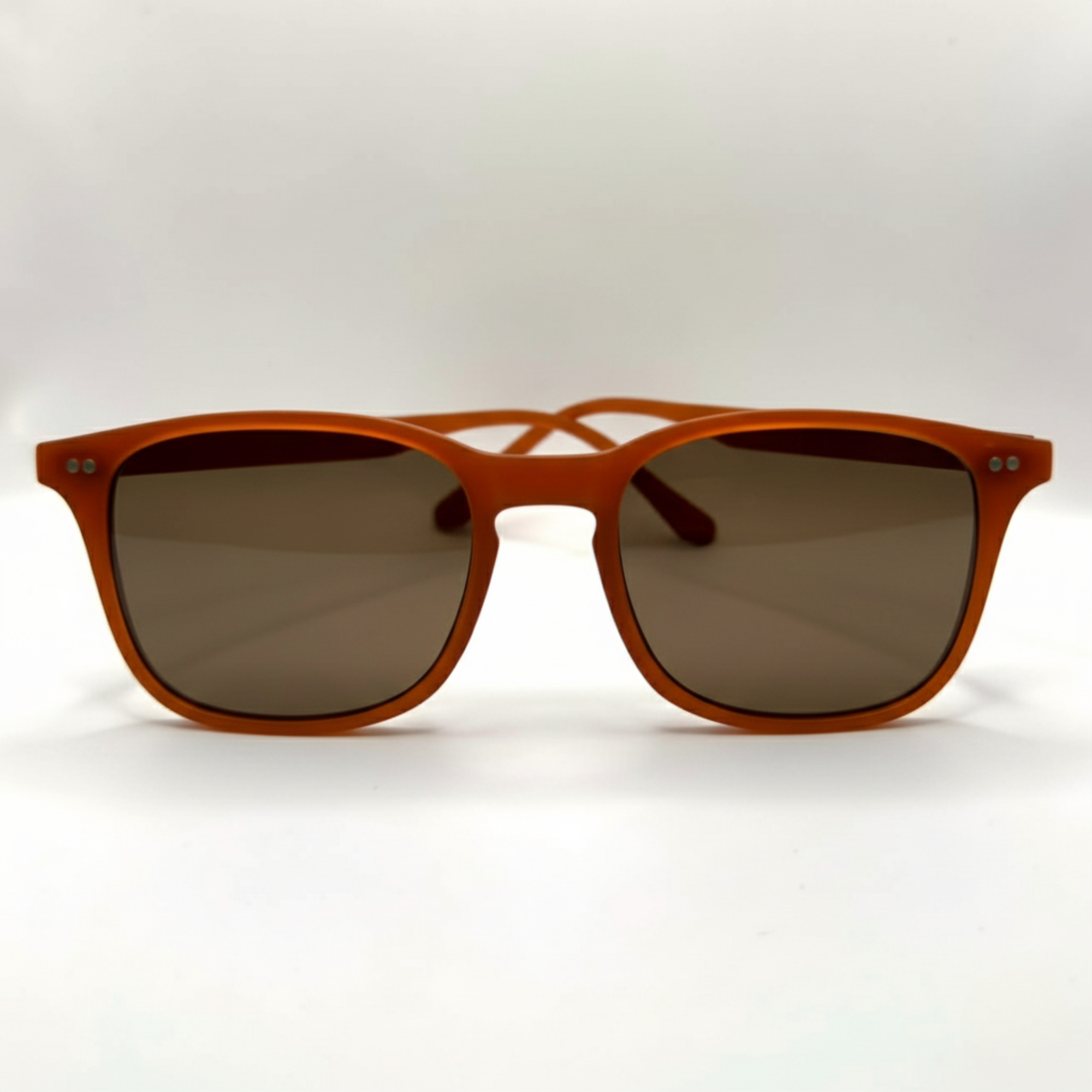 sienne-eio-face-brun